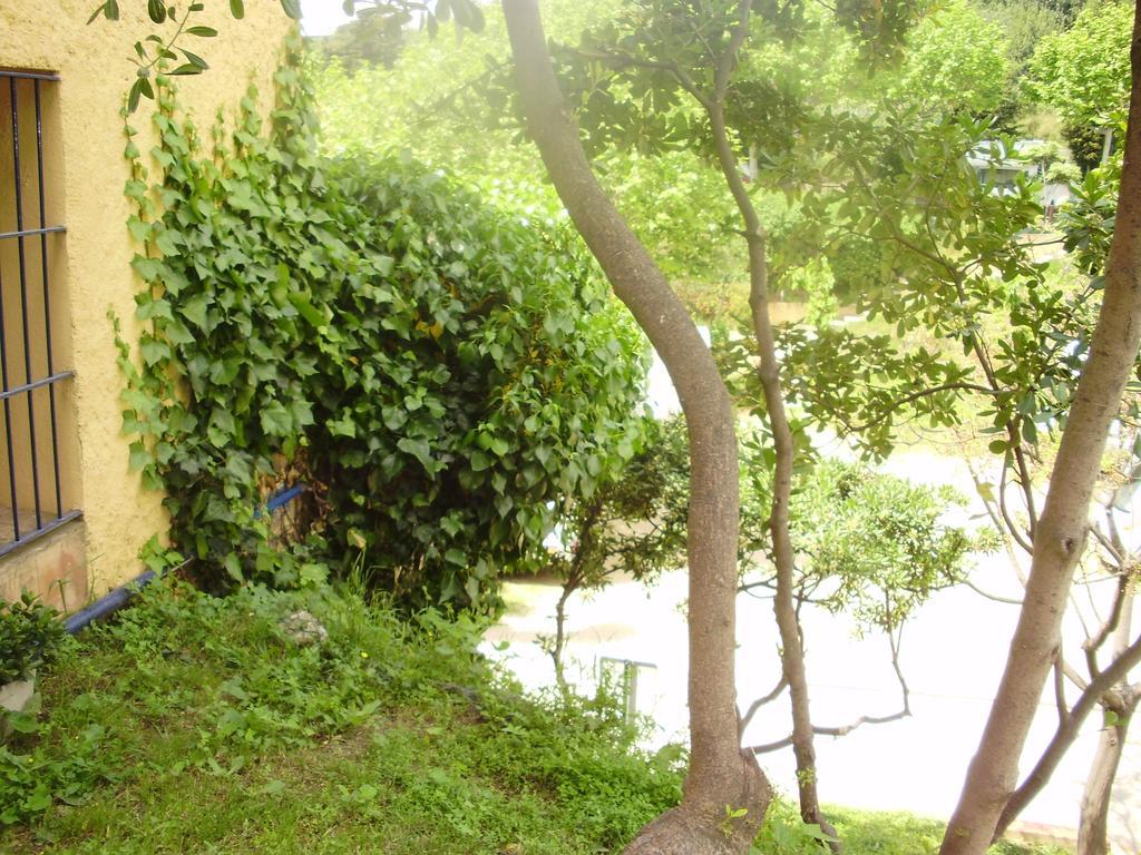 Camping Masnou Hotel Esterno foto